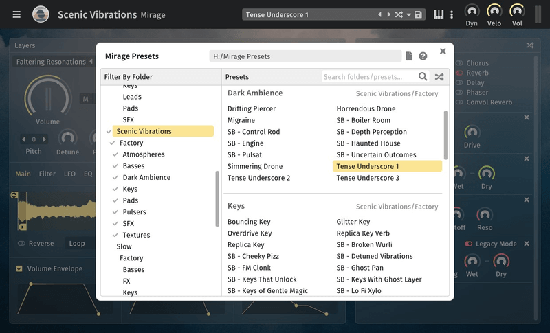 Scenic Vibrations image 6